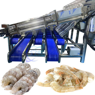 Stainless Steel Shrimp Sorting Equipment Stable Anti Erosion
