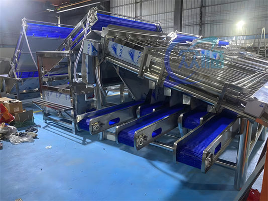 Stainless Steel Shrimp Sorting Equipment Stable Anti Erosion