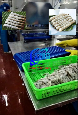 ราคาดี เครื่องยืดกุ้ง Tempura อัตโนมัติ เครื่อง NOBASHI เครื่องยืดกุ้ง ออนไลน์