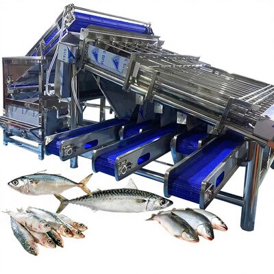 ราคาดี เครื่องประเภทปลาแบบม้วนกันน้ํา เครื่องประเภทปลาขนาดใหญ่ สําหรับโรงงานปลา ออนไลน์