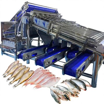 ราคาดี อุปกรณ์ประเภทเครื่องประเภทสีเหลืองขนาดเล็กประสิทธิภาพ เครื่องประเภทสีเหลืองขนาดเล็ก เครื่องประเภทสีเหลือง เครื่องประเภทปลา ออนไลน์