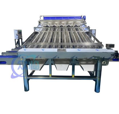 4900W SUS304 เครื่องคัดแยกกราม่า เครื่องคัดแยกล้างกุ้งทนทาน