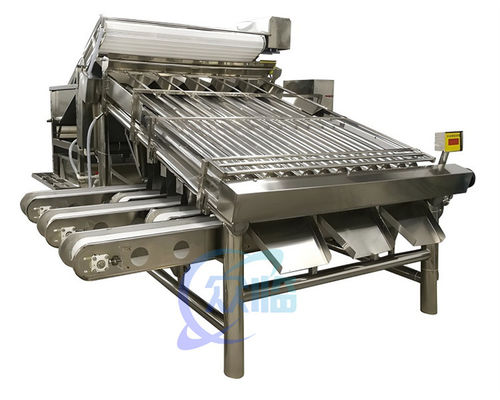 เครื่องคัดแยกกุ้งขนาดเล็กที่มั่นคง Multiscene สําหรับการคัดแยกปลา