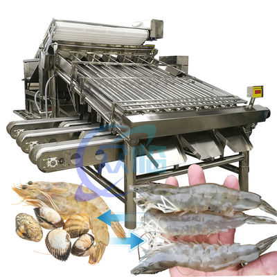 เครื่องปรับระดับกุ้งจากสแตนเลส 6000x4000x2200มม