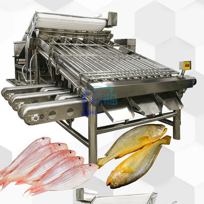 ราคาดี เครื่องประเมินปลาอัตโนมัติ 4900W ออนไลน์
