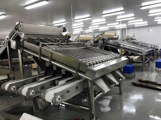 ราคาดี 3P เครื่องคัดแยกกุ้งทนทาน อุปกรณ์คัดแยกกุ้งป้องกันการบด ออนไลน์