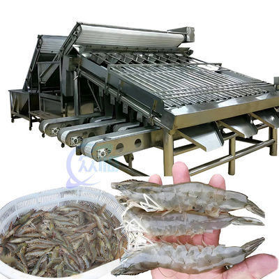 เครื่องบดปลากุ้ง 1500 กิโลกรัม มหาประสงค์สําหรับอุตสาหกรรม
