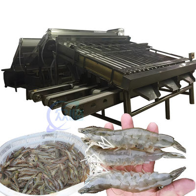 เครื่องประเภทกุ้งหลายฟังก์ชัน สแตนเลสทนทาน