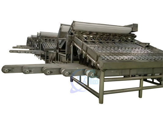 เครื่องแยกอาหารทะเล 380V 50Hz เครื่องแยกขนาดกุ้งหลายฉาก