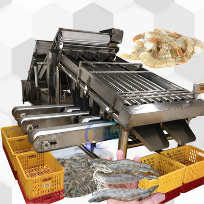 4.9KW SUS304 เครื่องประเภทกุ้ง อัตโนมัติสําหรับการประเภทขนาดปลา
