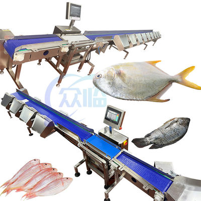 ราคาดี SUS304 เครื่องแยกน้ําหนักปลา ลิเวอร์ประเภท 261 ชิ้น/นาที ออนไลน์