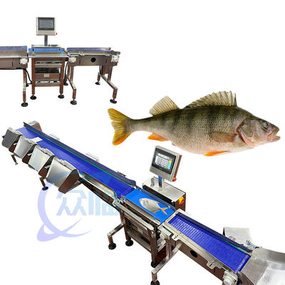 121pcs/min ปลา Weight Grader ปลา Weighing และเครื่องเรียงลําดับสําหรับสภาพแวดล้อมน้ํา