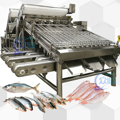 เครื่องประกอบปลาทั้งตัวที่มีผลิตผลิตสูง มี 18 รอลเลอร์ เครื่องประกอบปลาทั้งตัวและขนาดปลา