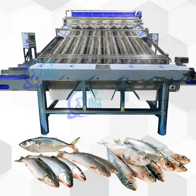 เครื่องคัดกรองพลาสติกคอนเวียร์ Saury เครื่องคัดกรอง Croaker สีเหลือง