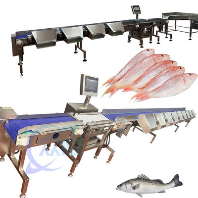 ราคาดี เครื่องประเมินน้ําหนักปลาเรื้อรัง 120-150 ชิ้น/นาที ออนไลน์