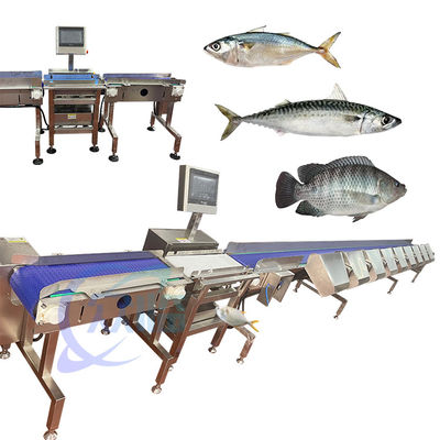 จีนพิเศษ Crap Fish Grader Crap Fish Sorter Crap Fish Sizter Crap Fish Classify