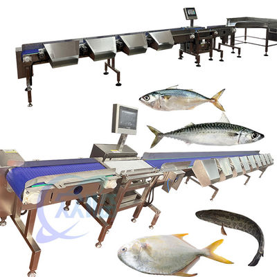 ราคาดี Tilapia Grader Tilapia Sorter Tilapia Sizter Tilapia Classify จากประเทศจีน