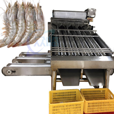 เครื่องทําความสะอาดและจัดลําดับกุ้ง เครื่องจัดลําดับกุ้งอัตโนมัติ เครื่องจัดลําดับกุ้งตามความต้องการ
