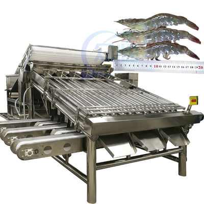 อัตโนมัติ เครื่องคัดกุ้ง เครื่องคัดกรองกุ้ง เครื่องคัดกรองกุ้งสด ล้างกุ้ง เครื่องคัดกรองม้วน