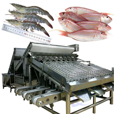 ราคาดี เครื่องคัดแยกกุ้งอัตโนมัติ สําหรับการเปลือกกุ้ง ล้างกุ้งสด เครื่องคัดแยกกุ้งแบบม้วน ออนไลน์