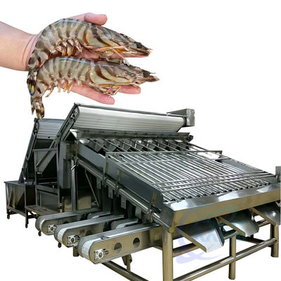 เครื่องประเมินการแปรรูปกุ้งอาหารทะเล เครื่องประเมินขนาดกุ้งขนาดกุ้ง
