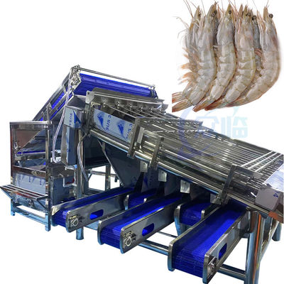 เครื่องแยกและจัดหมวดปลาและกุ้งแบบอัตโนมัติเต็มหลายฟังก์ชัน เครื่องจัดหมวดกุ้งแบบรวดเร็วแบบลูกค้า