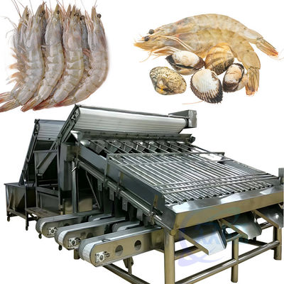 ราคาดี เครื่องแยกขนาดกุ้ง การทําความสะอาดและการประมวลผลของปลา ออนไลน์