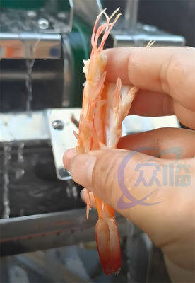ขายด่วน เครื่องตัดกุ้ง เครื่องตัด EBI เครื่องตัดท้องกุ้ง