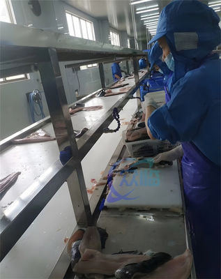 เครื่องตัดผิวไทลาเปีย 0.75KW เครื่องตัดผิวไทลาเปีย