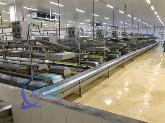 ราคาดี 3.10KW สายขนส่งการแปรรูปปลา สายการผลิตปลา ออนไลน์