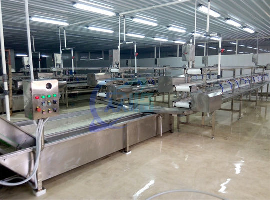 2.22KW SS เครื่องซักผ้าสําหรับการแปรรูปผลไม้และผัก สายการผลิต ลาตัส กะหล่ํา เครื่องซักผ้าสเปรย์อากาศ