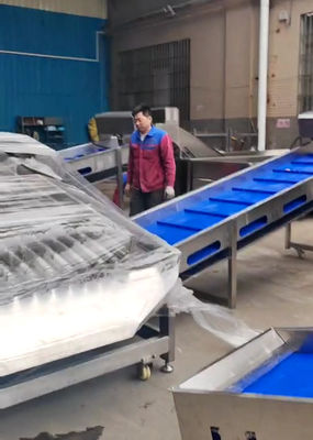 ราคาดี เครื่องประเมินปลาเพลาจิกขนาดใหญ่ 5-10T / H สําหรับสายประเมินปลาอัตโนมัติ ออนไลน์
