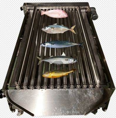 ราคาดี ความจุ 5-10T / H ปลาอัตโนมัติเครื่องเรียงลําดับ, ขนาดปลาขนาดเล็กและการจัดลําดับทะเล ออนไลน์