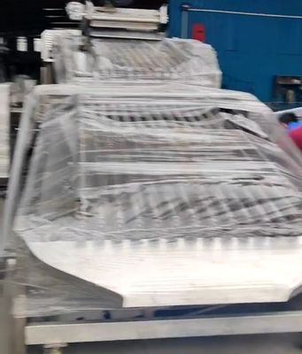 อุปกรณ์การจัดหมวดปลาที่ควบคุมโดย PLC สําหรับการจัดหมวดปลาขนาดเล็กด้วยอัตโนมัติ