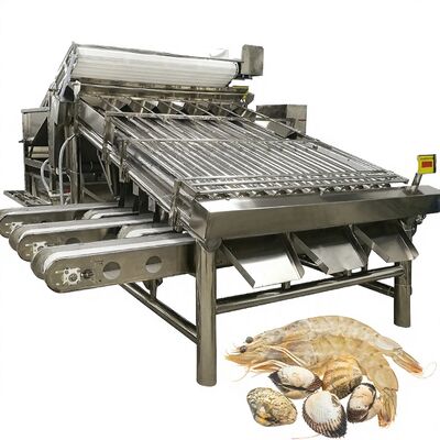 ราคาดี อุปกรณ์ประเภทกุ้งเหล็กไร้สแตนเลส ป้องกันการบดลงที่มั่นคง 4.9KW เครื่องปรับขนาดกุ้งสําหรับโรงงานกุ้ง เครื่องปัดกุ้งอัตโนมัติ ออนไลน์