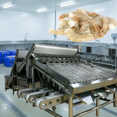 ราคาดี เครื่องจัดลําดับกุ้งม้วนทนทาน 1500kg-2000kg/H เครื่องจัดลําดับกุ้งม้วนแบบมั่นคงสูง ออนไลน์