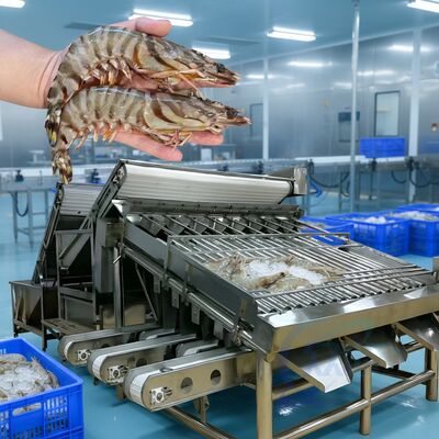 ราคาดี เครื่องคัดกรองกุ้งแบบม้วนราคาถูก เครื่องคัดกรองกุ้งหลายฟังก์ชัน เครื่องคัดกรองกุ้งแบบม้วนที่ทนทาน เครื่องคัดกรองกุ้งแบบม้วนขายร้อน เครื่องคัดกรองกุ้ง ออนไลน์