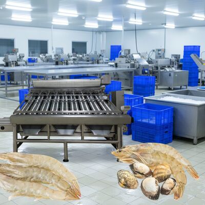 ราคาดี เครื่องปรับขนาดกุ้งจากสแตนเลส 4.9kw เครื่องคัดแยกกุ้งสําหรับการแปรรูปอาหารทะเล Zolim เครื่องคัดแยกกุ้งกุ้ง ออนไลน์