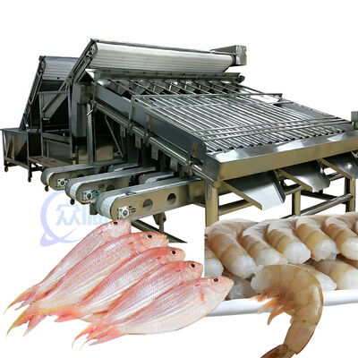 ราคาดี เครื่องประเมินปลาอัตโนมัติ เครื่องประเมินขนาดปลา ออนไลน์