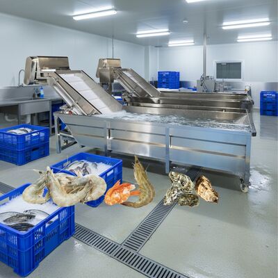 ราคาดี Zolim Bubble Washing Machine for Seafood 2.2kw เครื่องทําความสะอาดปลา เครื่องทําความสะอาดกุ้งสมาร์ท เครื่องทําความสะอาดกุ้งสําหรับโรงงานแปรรูปอาหารทะเล ออนไลน์