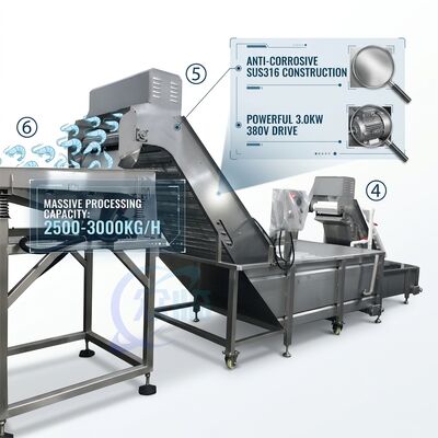 ราคาดี Heavy Duty Shrimp Deheading Production Line Precision SUS316 1000-1500KG 11.7KW 415V ออนไลน์