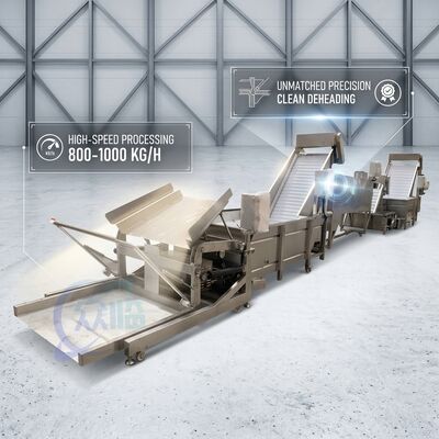 ราคาดี SUS316 Shrimp Deheading System Food Grade SUS304 800-1000KG 3.0KW 415V For Fish Processing Plant ออนไลน์