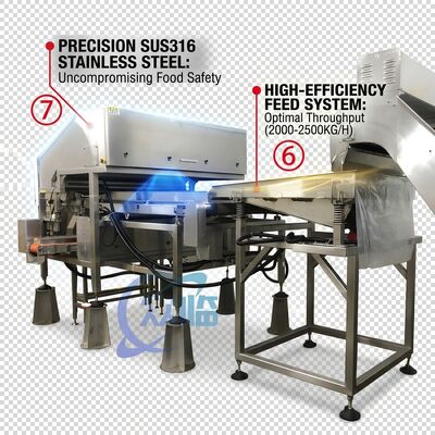 ราคาดี Rugged Shrimp Head Separator SUS304 Stainless Steel 800-1000KG 15KW 440V For Shrimp Processing Plant ออนไลน์