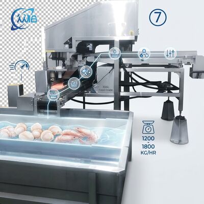 ราคาดี High Output Shrimp Processing Machine Hygienic SUS304 500-800KG 0.8KW 220V For Seafood Export Company ออนไลน์