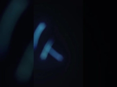 เครื่องทําความสะอาดปลาหมึกอาหารทะเล 380V กันน้ําต่อการกัดกร่อน